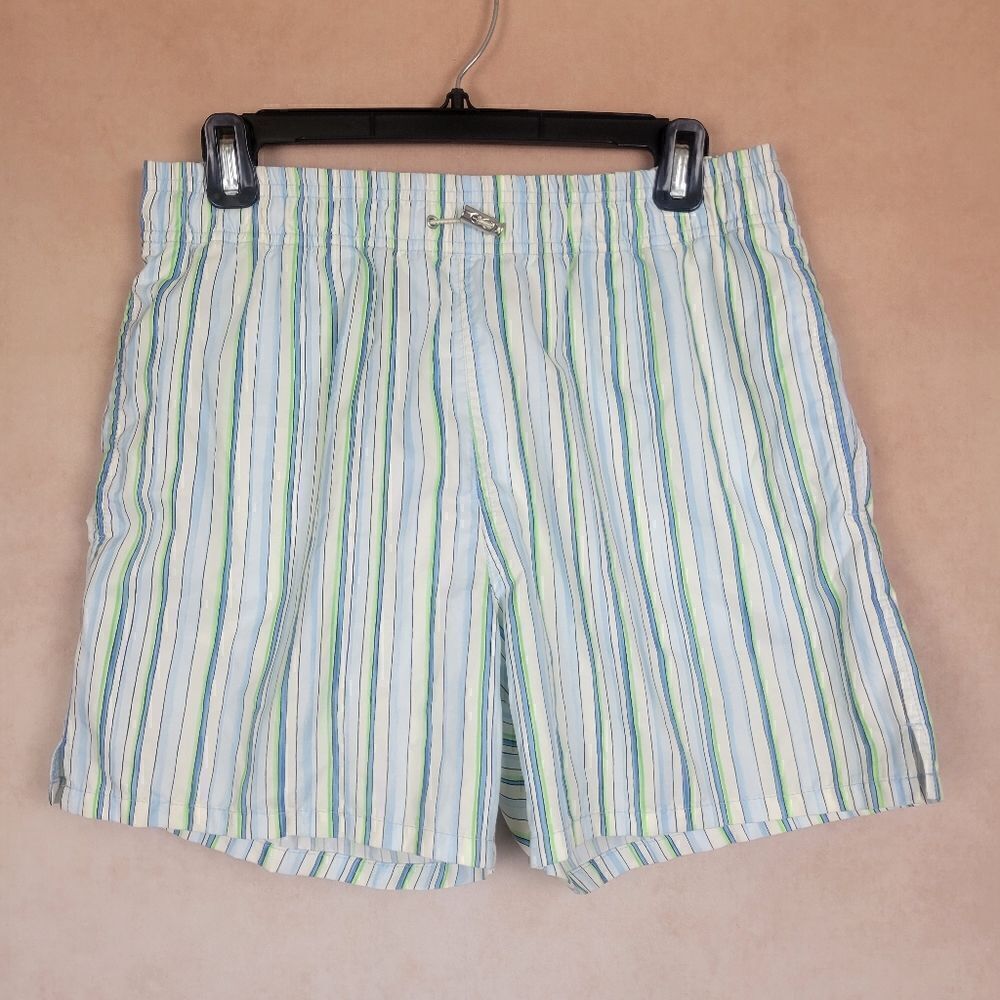 Zegna Sport Swim Shorts Trunks White Blue Stripe Size Medium